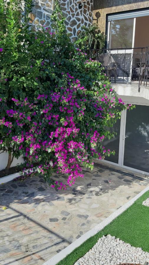 Colina Guesthouse - Braga Dış mekan fotoğraf