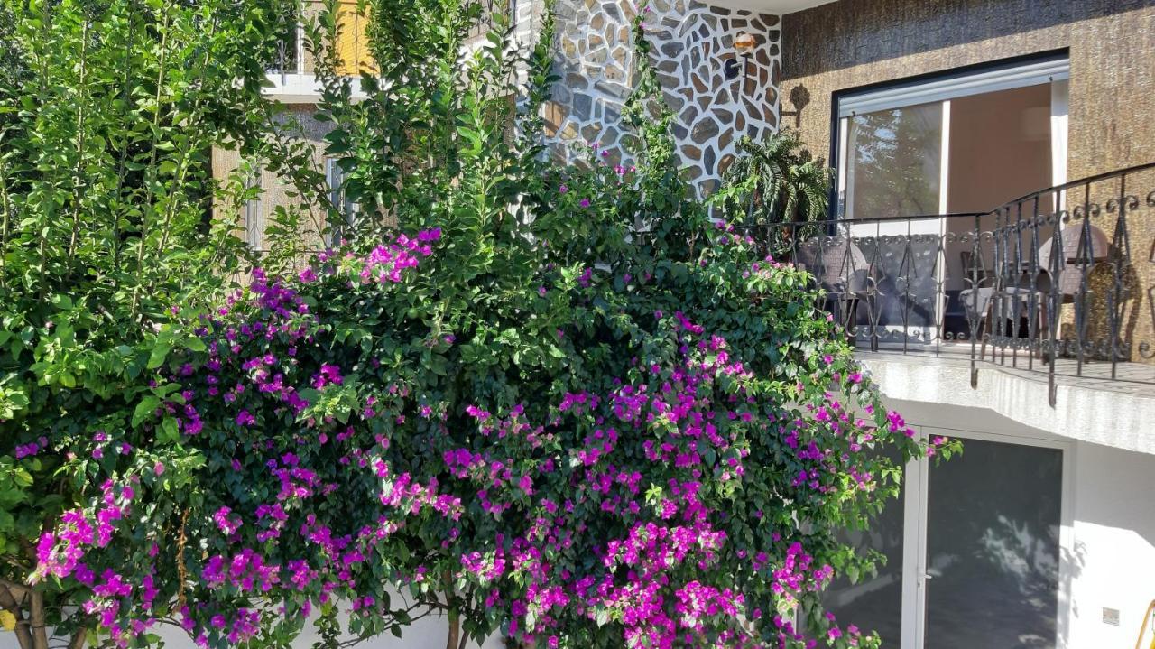 Colina Guesthouse - Braga Dış mekan fotoğraf
