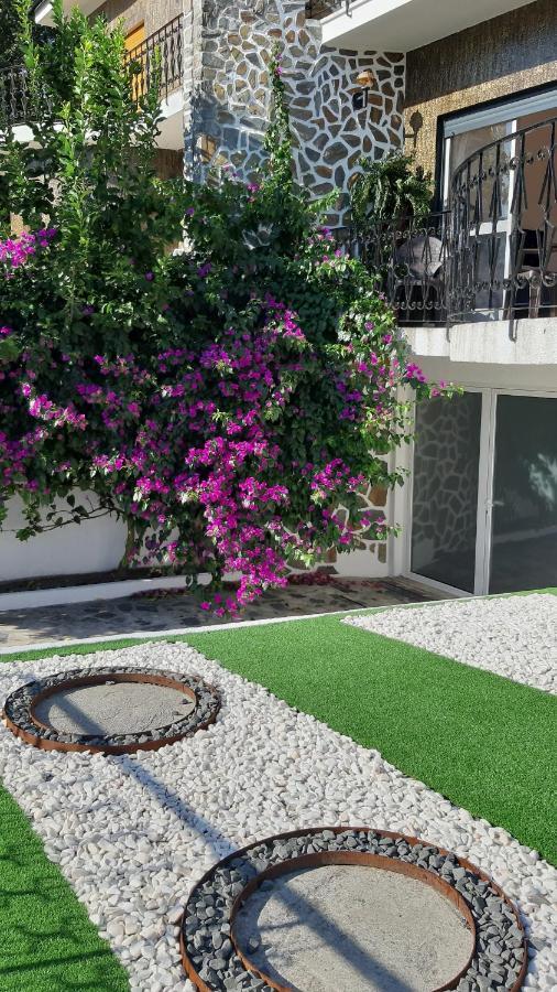 Colina Guesthouse - Braga Dış mekan fotoğraf
